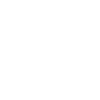 Winged Skull