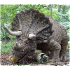 Dino