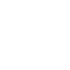 D2R Runic word Enigma