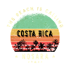 Nosara Costa Rica palm design