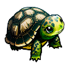 Cute Little Turtle