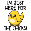 Juste ici pour les poussins