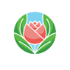 Tulips Tulips