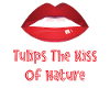 Tulips Lips Tulips