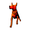 Walking dog