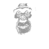 Nigeria - Chimpanzees