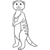 Meerkat, gift, gift idea