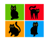 Chats Misanthrope Sarcasme