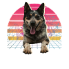 Australian Cattle Dog
