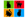 Katzen Misanthrop Sarkasmus