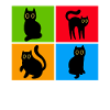 Katzen Misanthrop Sarkasmus