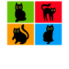 Chats Misanthrope Sarcasme