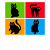 Chats Misanthrope Sarcasme
