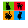 Chats Misanthrope Sarcasme