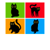 Chats Misanthrope Sarcasme