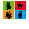 Chats Misanthrope Sarcasme