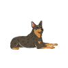 Australian Cattle Dog