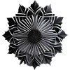 Black Origami Star
