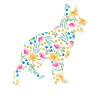Australian Cattle Dog