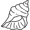 ICN: Shell 1
