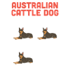 Bouvier australien