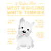 West highland terrier