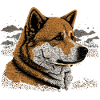 Akita Inu Dog