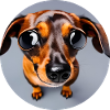 Dachshund in Digital Art