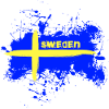 Sweden Flag/Flag