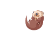 Otter Soft Otter Warm Otter