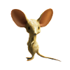 Cute long-eared jerboa design