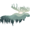 Moose