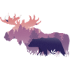 Moose