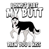 Siberian Husky