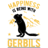 Gerbil Glück racing rat gerbil