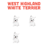 West highland terrier