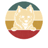 American Eskimo Dog