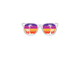 American Eskimo Dog