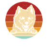 American Eskimo Dog