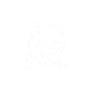American Eskimo Dog