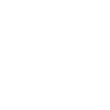American Eskimo Dog