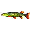 Low Poly Pike
