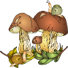 Champignons et escargots