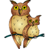 Oiseaux