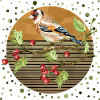 Bunter Vogel