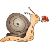 Schnecke