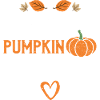 Thanksgiving Pumpkin Pie - Pumpkin