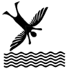 Icarus