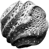 Tissue