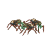Spider Lover Gifts